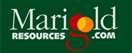 Marigold Resources