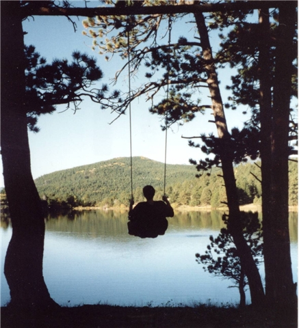 Broker Profile Photo