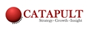 Catapult Solutions Group Inc