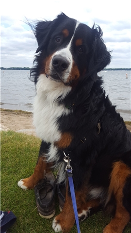 Broker Profile Photo