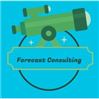 Forecast Consulting
