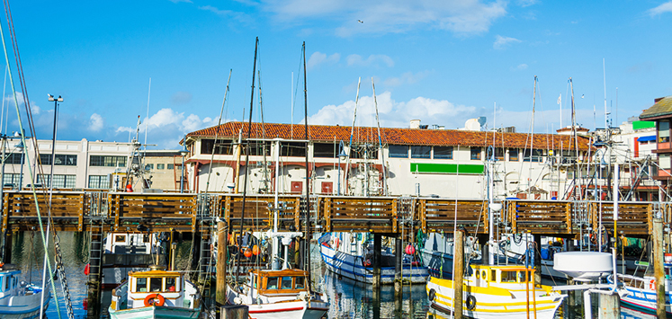 San Francisco Fishermen's Warf San Francisco Fishermen's Warf