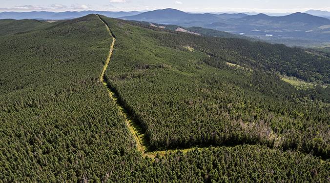 The international border between the United States and Canada following the forest ridgeline.
