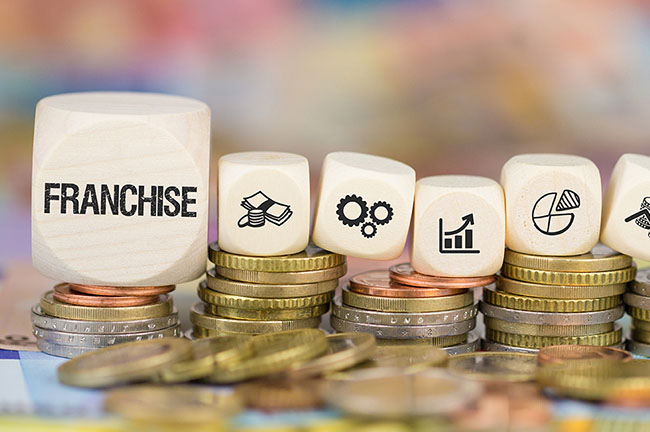 Franchise benefits conceptual image with building blocks