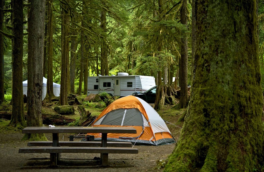 Industry overview of campgrounds and RV parks.