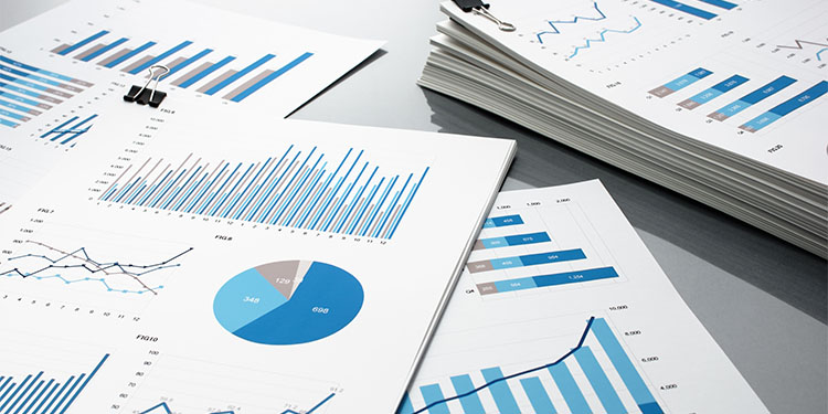 Quality of earnings report documents.