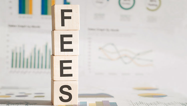 The word "fees" displayed on wood blocks on a table.