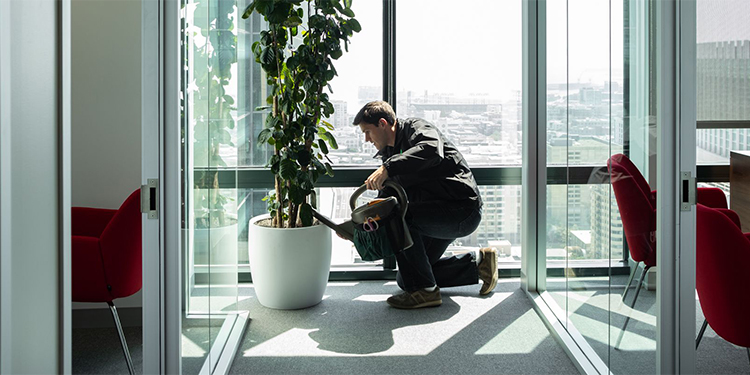 Podcast: Nick Haschka shares about acquiring a plant service business from a retiree, then expanding by buying addional small businesses