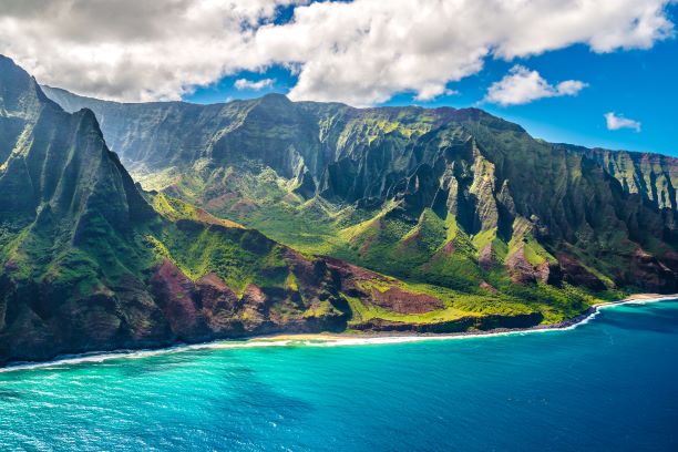 Franchises for sale in Hawaii