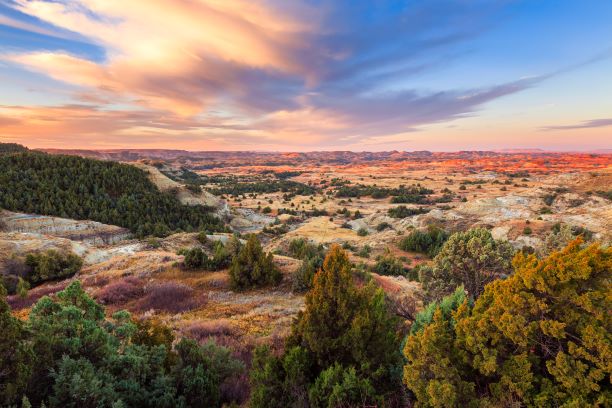 Franchises for sale in North Dakota!