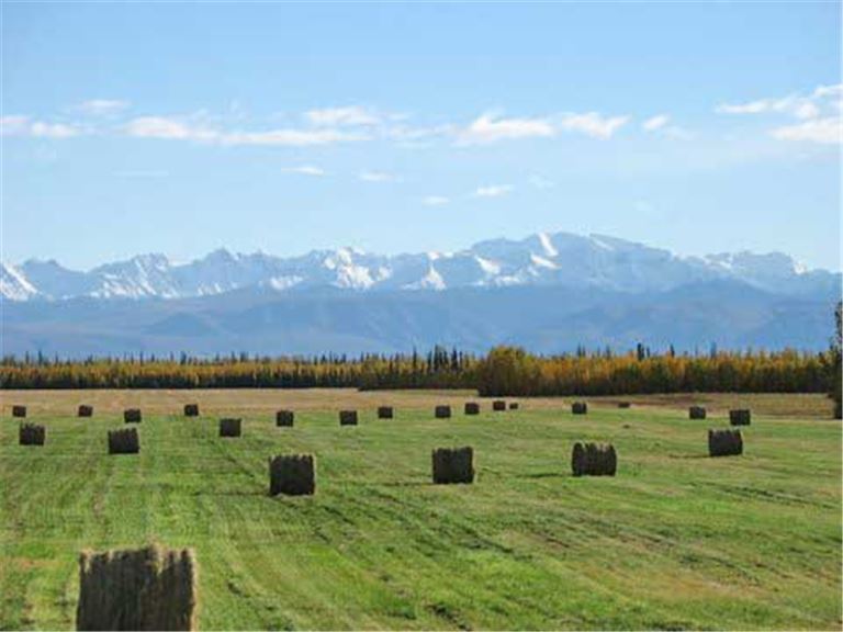 Alaska Grain, Grass Seed & Hay Farm in Delta Junction, Alaska BizBuySell