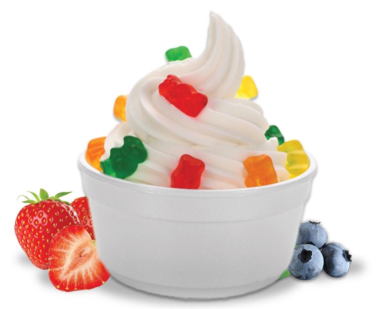 Franchise Frozen Yogurt Business Giveaway Price!!in Seattle, Washington