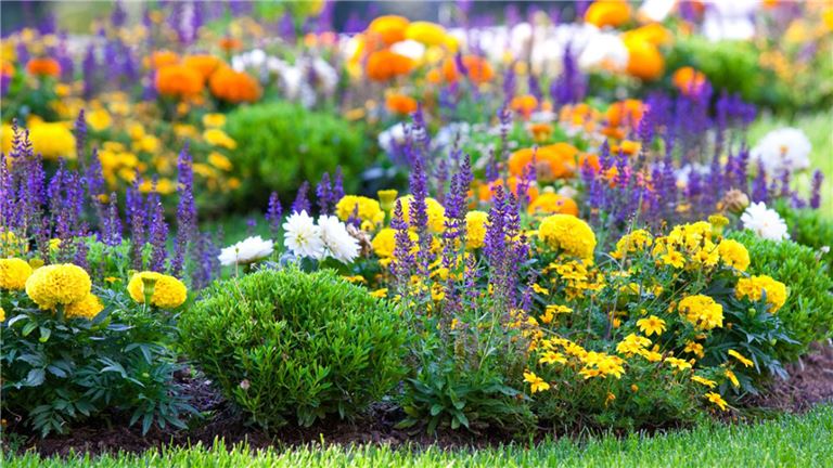 Retail Garden Center & Nursery in Bluffton, South Carolina - BizBuySell