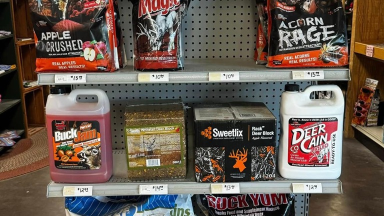 Fall deer attractants