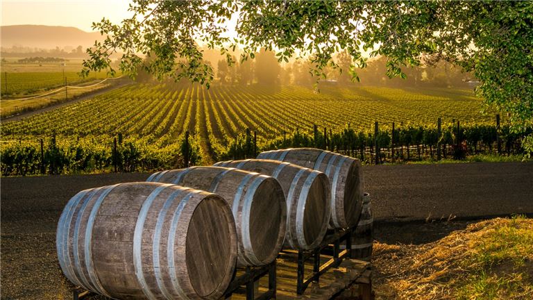 Profitable, Beautiful Winery/Event Center