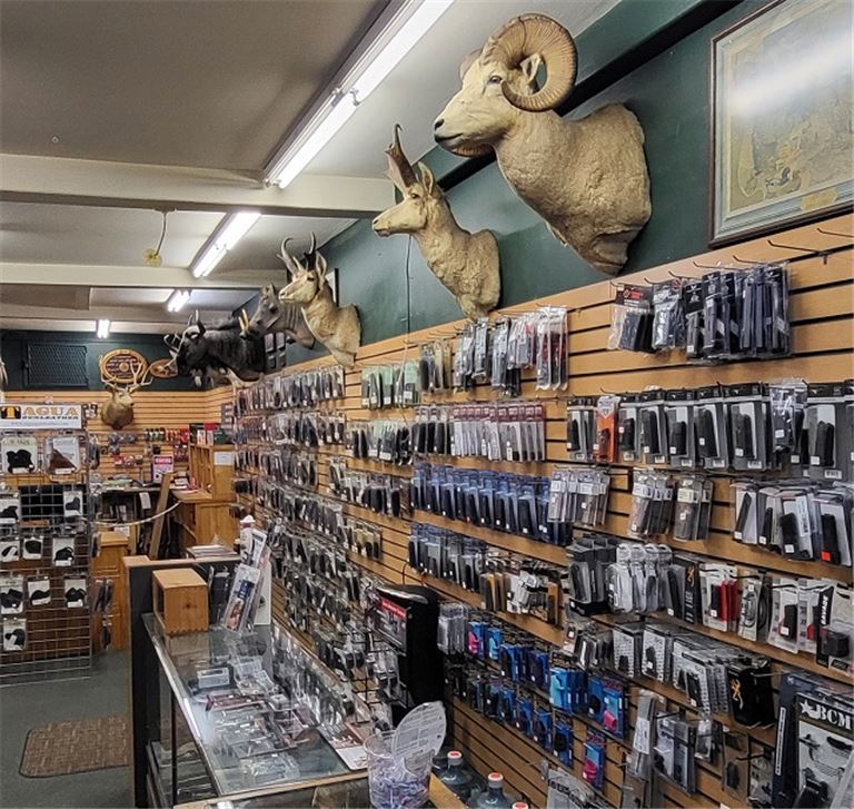 Established Gun & Accessories Shop, with Inventory Included in