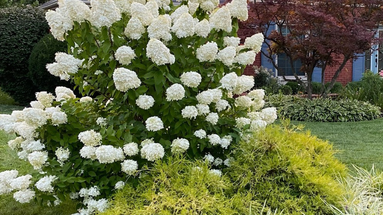 $4.25mil Sale Price,  $4.0mil Gross Sales,  $1.0M+ Gross Profit Margin