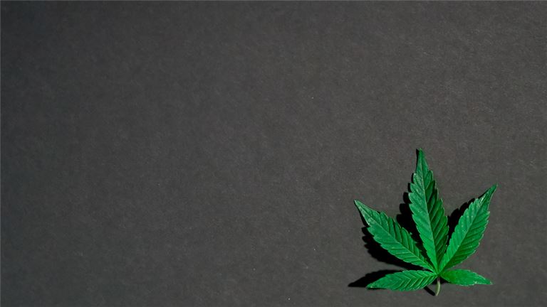 Fast Growing Bozeman-based Turnkey Recreational 420 Company