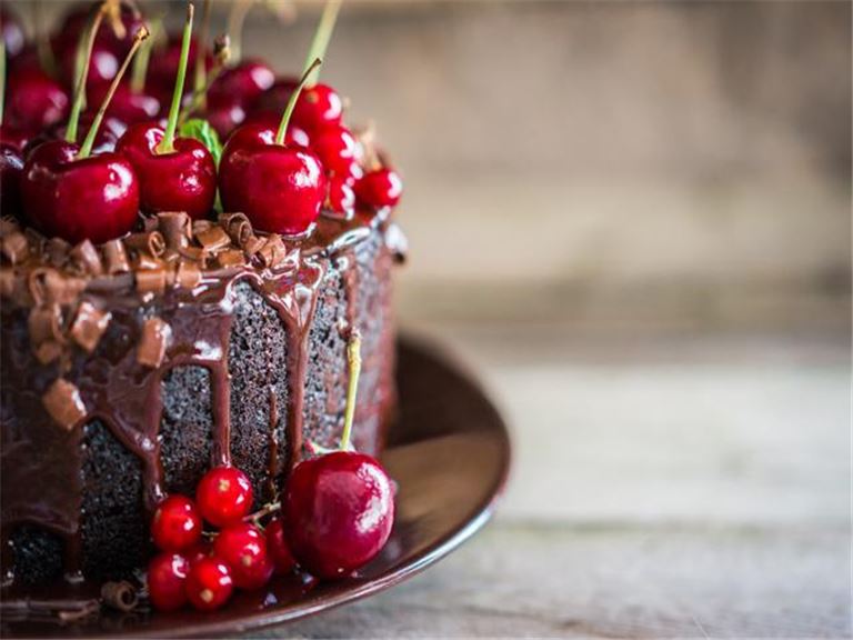 Established Bakery in the Heart of Montgomery County in Montgomery