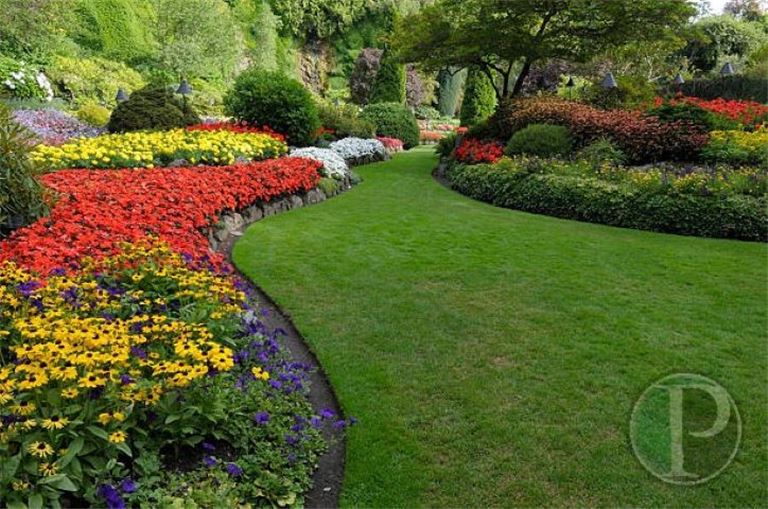 Landscape & parking lot maintenance business in Southeast Illinois