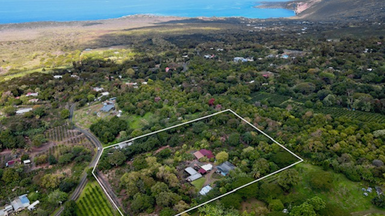 Close to ocean in the renowned Kona Coffee Belt