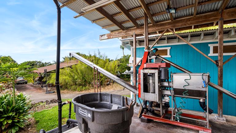 Coffee pulper capable of one ton per hour