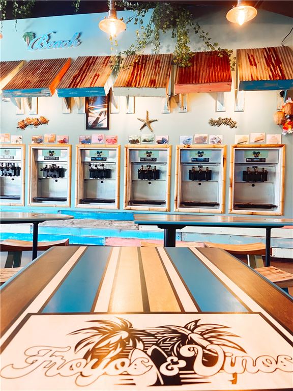 Established Frozen Yogurt Shop AND Tiki Bar in Peachtree City,