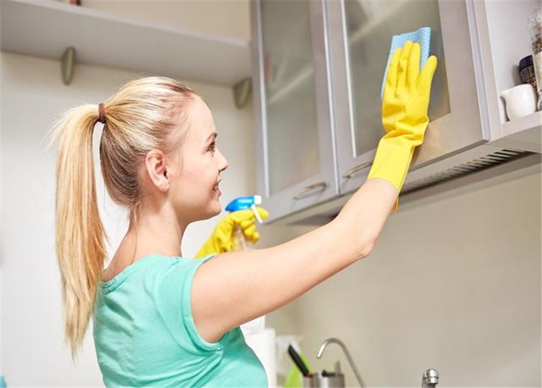 Highly Profitable Cleaning Business in Maryland in Baltimore County