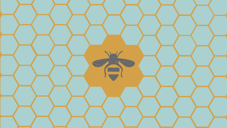 Established Professional Home Organizing Business