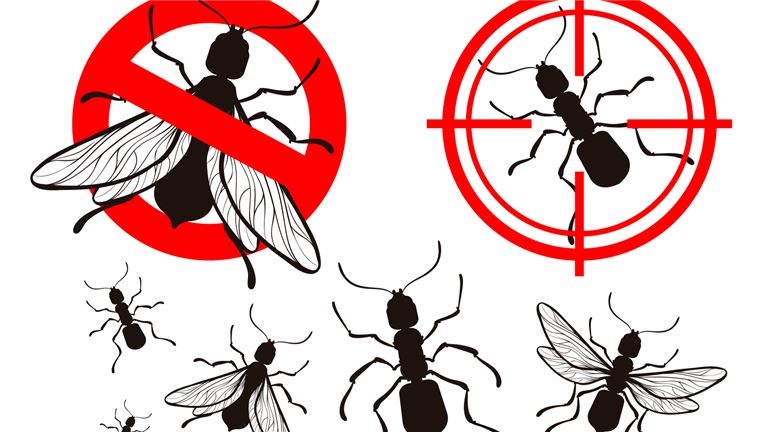 Portable Misting Pest Control Machine
