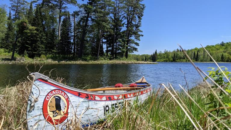 Vinyl wrap anything.