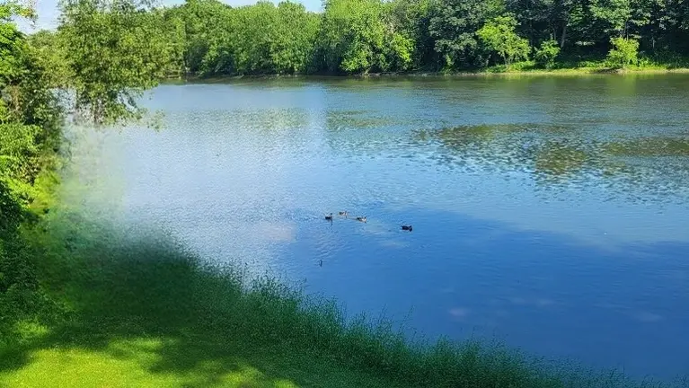 Gorgeous River Views