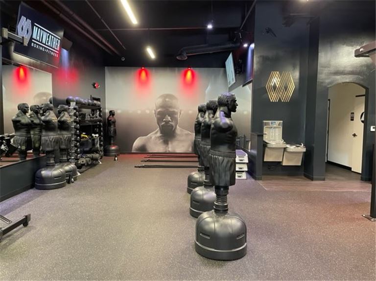 Mayweather Boxing Gym for Sale in San Diego, California BizBuySell