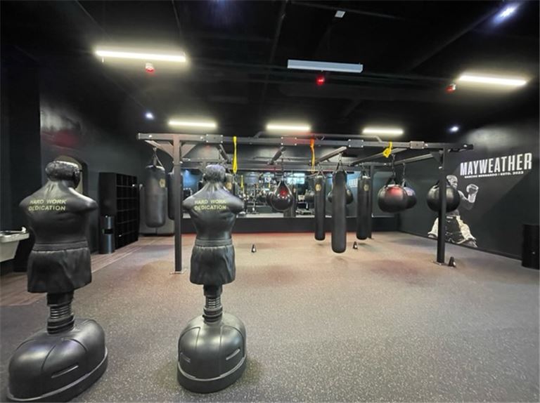 Mayweather Boxing Gym for Sale in San Diego, California BizBuySell