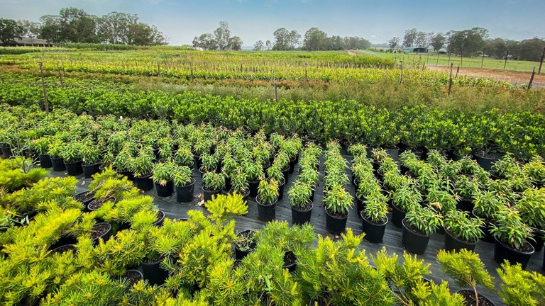 Outdoor Nursery