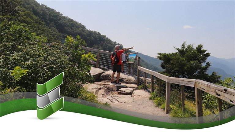 Established and Profitable Tour Operator Business