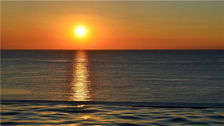 Pool Side Restuarant &amp; Bar Tampa Area