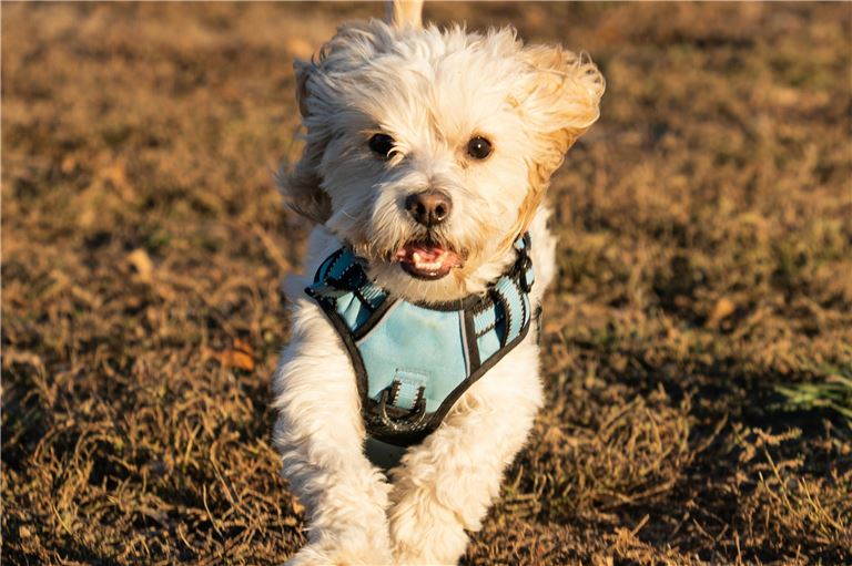 D467fe21-b106-4b53-b110-594bb5b7bc81-w768