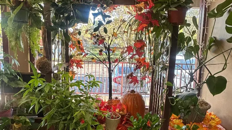 Turnkey Flower Shop For Sale