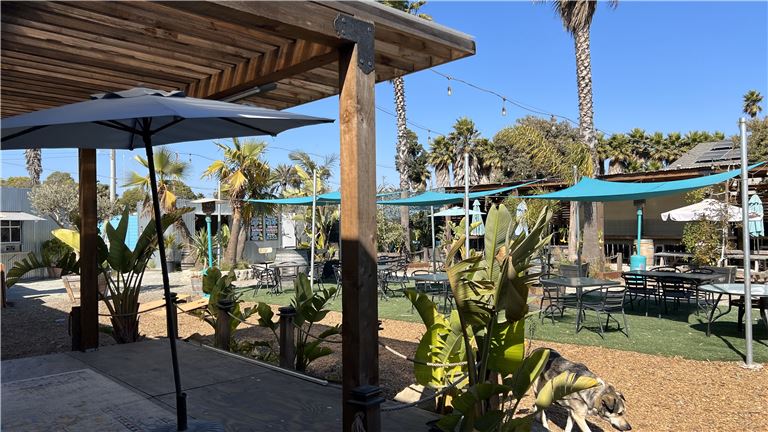 Beer and Wine Garden with Food (Richmond)