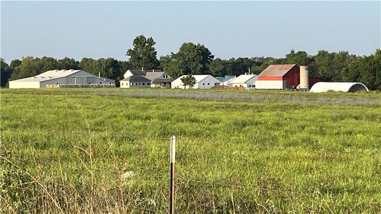 38 Acres Plus Profitable Business For Sale