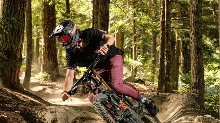 Premier Bike Shop and Rental