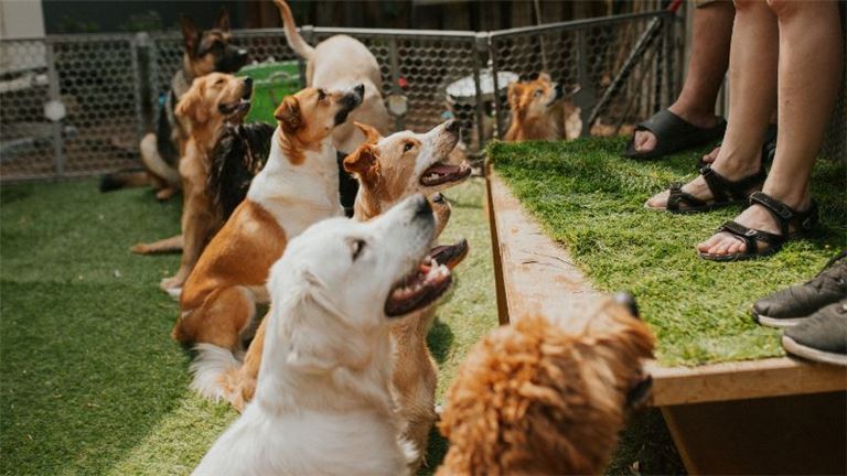 Representative Photo; not actual