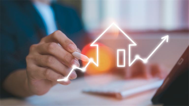 Real Estate Speculator Business for Sale