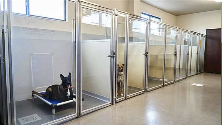 Business & Real Estate for Sale: Premier Kennel Facility in Montana