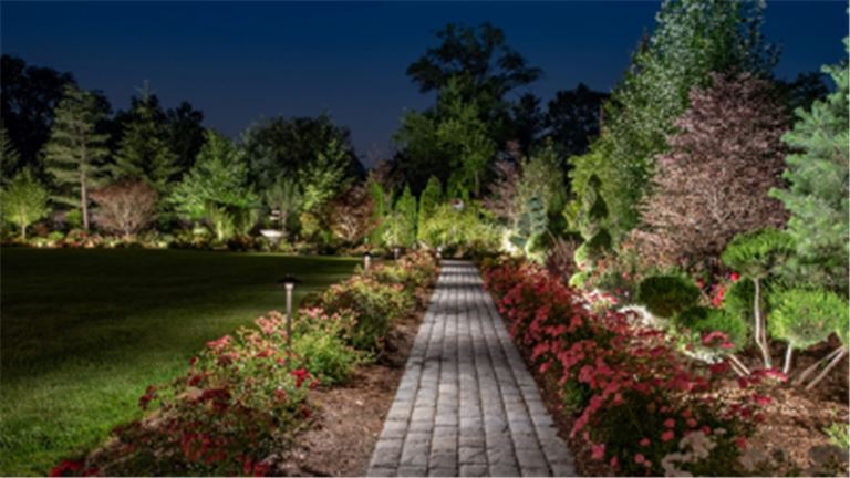 UNDER CONTRACT-Decorative Lighting Business
