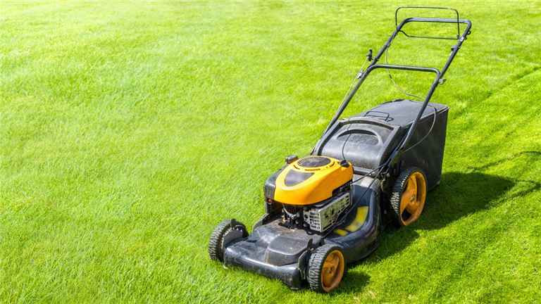 Lawnmower Service Shop with Property