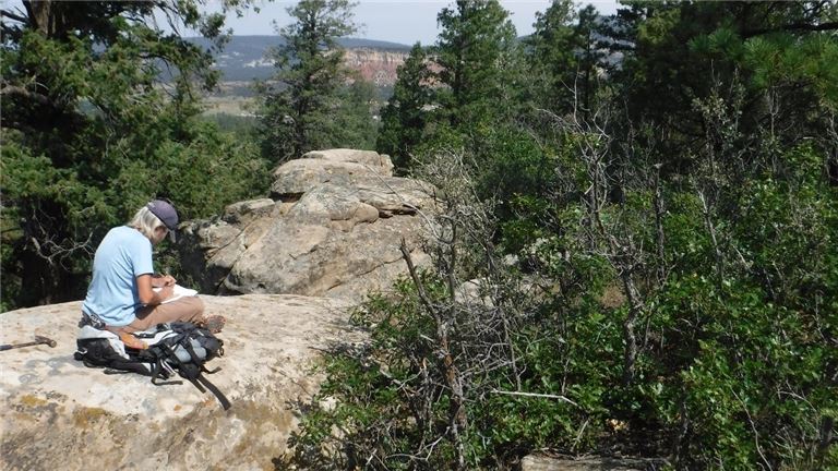 Environmental Consulting Firm with Ongoing Government Contracts