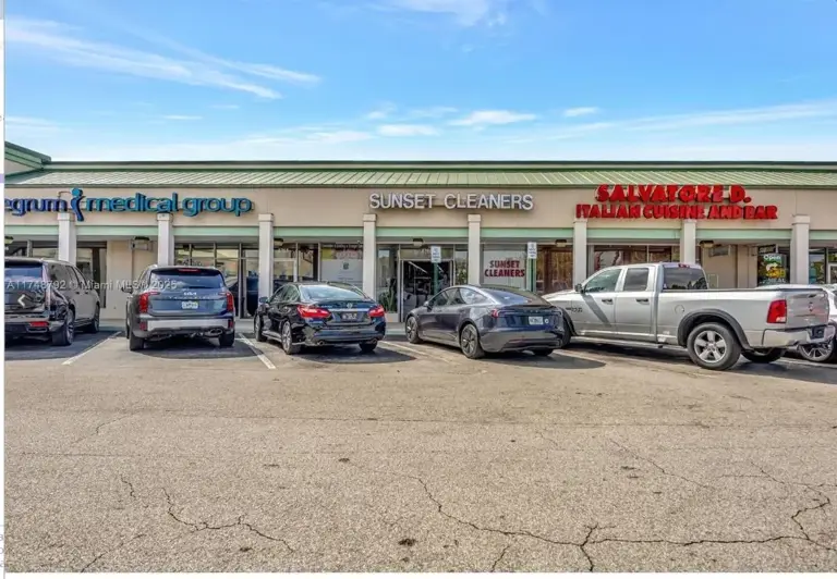 Busy Shopping Center