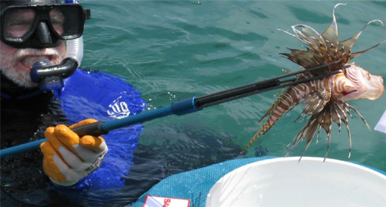 SeaSolutions & SafeSpear - Revolutionize Spearfishing and Marine